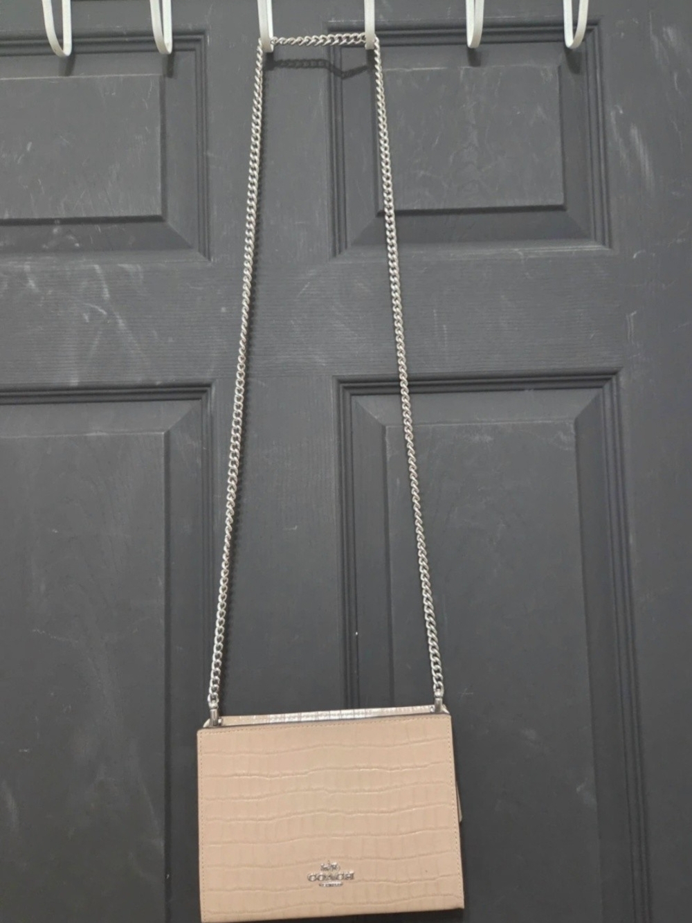 Coach Taupe Croc-Embossed Leather Crossbody with Chain Strap